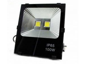 Led Sport Light 100W